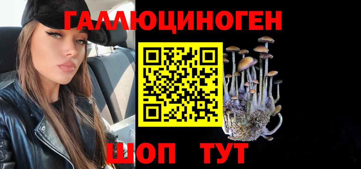 Галлюциногенные грибы Psilocybine cubensis  Вход с VPN  Алексеевка 