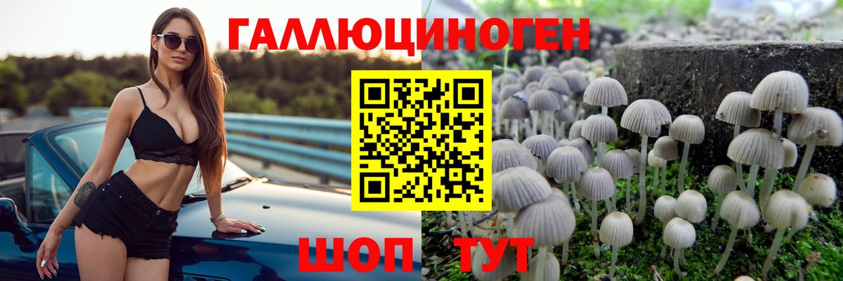 Галлюциногенные грибы мицелий Алексеевка